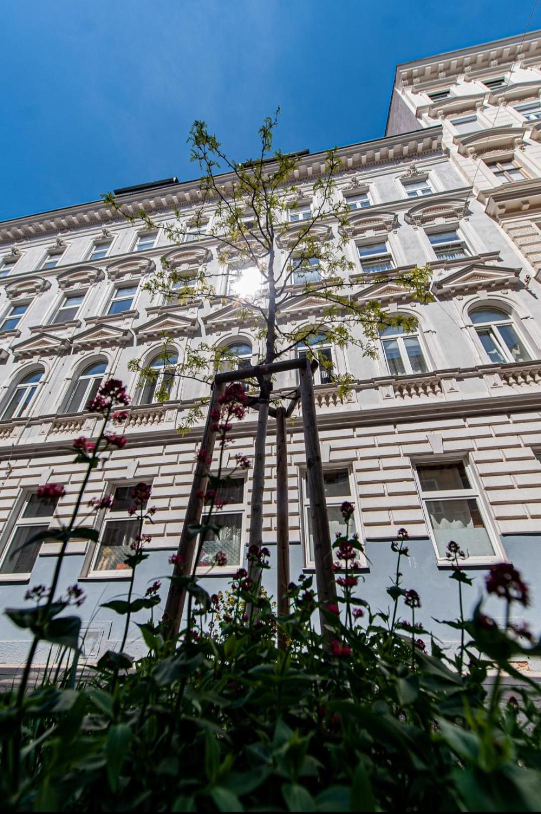 Apartment With Balcony Near Augarten Wien Exterior foto